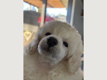 Image 1 of 13