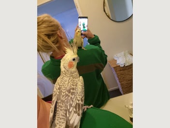 Image 1 of 4