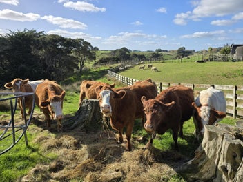 Image 1 of 6