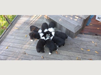 Image 1 of 20