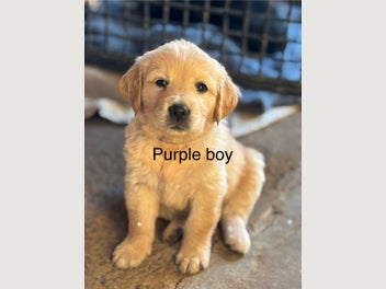 Image 1 of 18