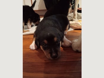 Image 1 of 5