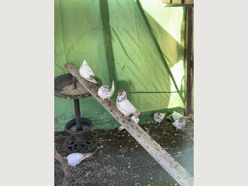 Image 1 of 7