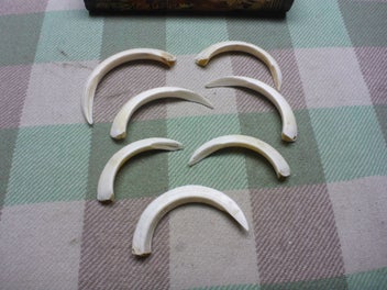 Image 1 of 7
