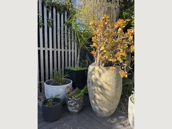 Image 1 of 11