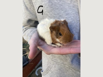 Image 1 of 20
