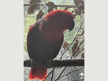 Image 1 of 11