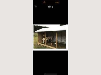 Image 1 of 6