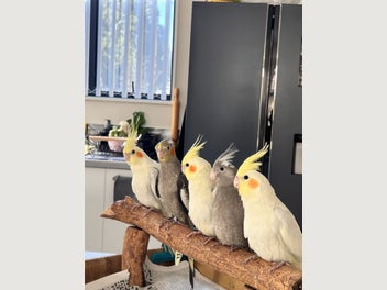 Image 1 of 20