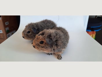 Image 1 of 3