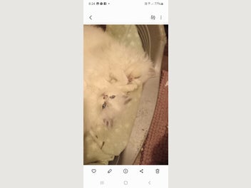 Image 1 of 16