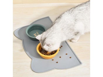 Image 1 of 9