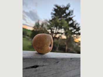 Image 1 of 7
