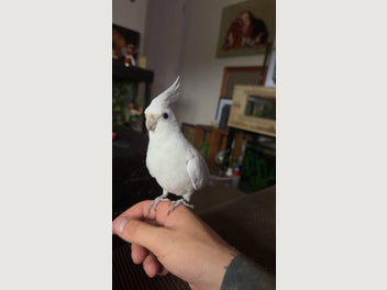 Image 1 of 2