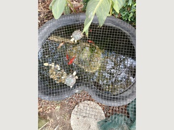 Image 1 of 10
