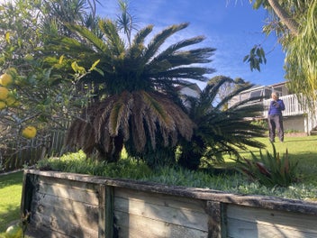 Image 1 of 4