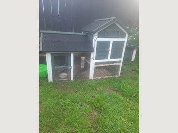 Image 1 of 7