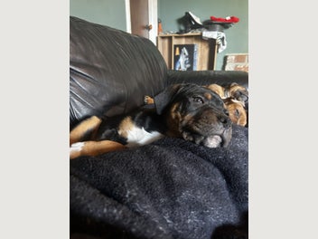 Image 1 of 19