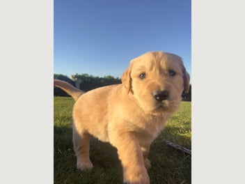 Image 1 of 19
