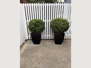 Image 1 of 8