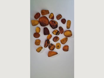 Image 1 of 11