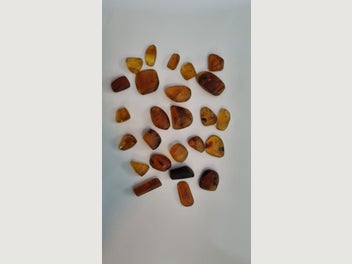 Image 1 of 10