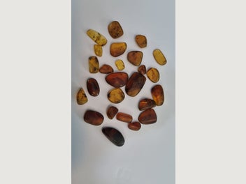 Image 1 of 9
