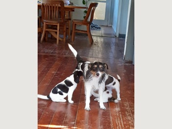 Image 1 of 3