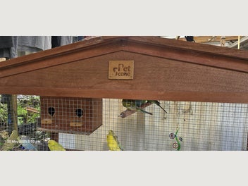 Image 1 of 7