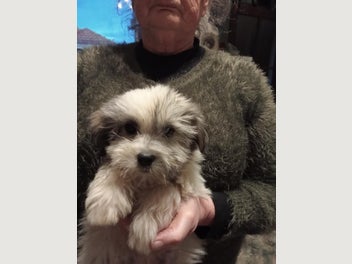 Image 1 of 7