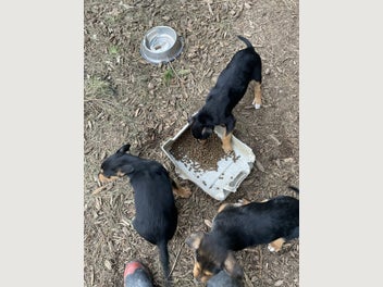 Image 1 of 3