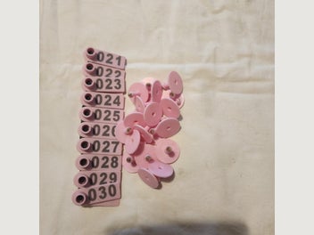 Image 1 of 12