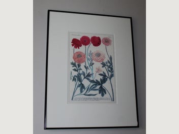 Image 1 of 12