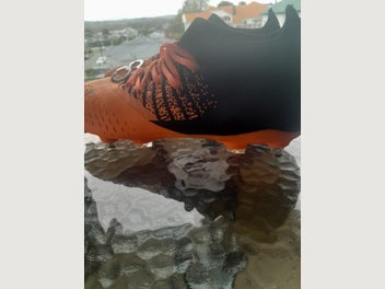 Image 1 of 8