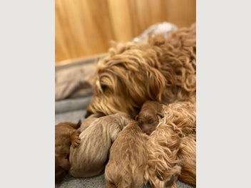 Image 1 of 6