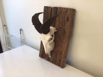 Image 1 of 5