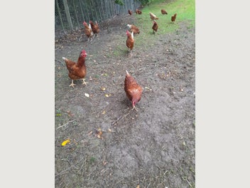 Image 1 of 7