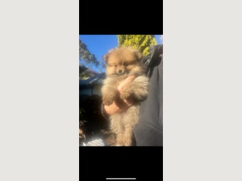 Image 1 of 9