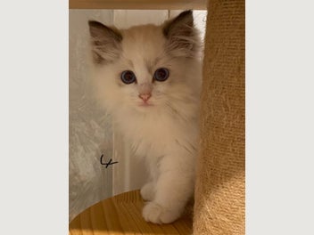 Image 1 of 19