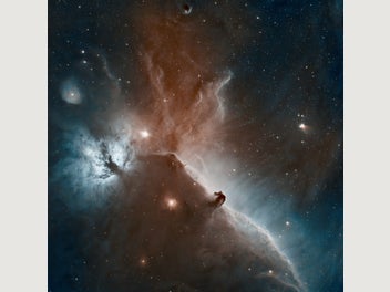 Image 1 of 14