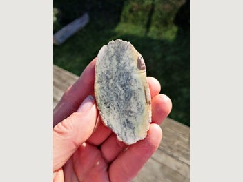 Image 1 of 7