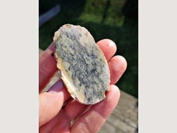 Image 1 of 7