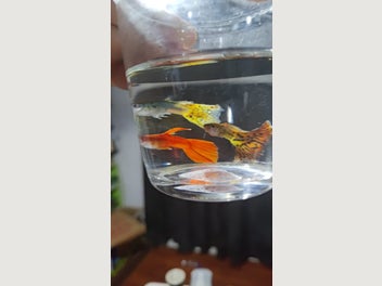 Image 1 of 8