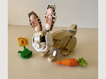 Image 1 of 5