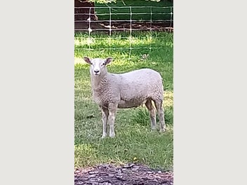 Image 1 of 6