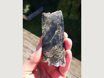 Image 1 of 8