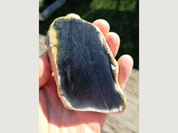 Image 1 of 7