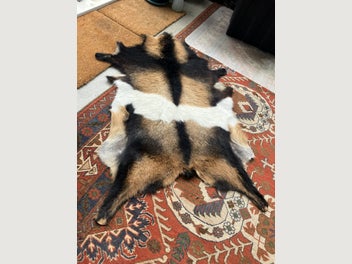 Image 1 of 6
