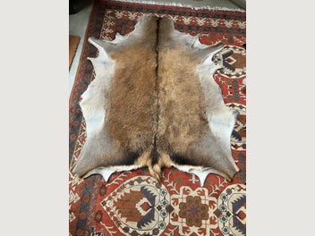 Image 1 of 6