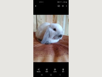 Image 1 of 14